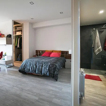 Center Modern Loft 公寓 格拉纳达